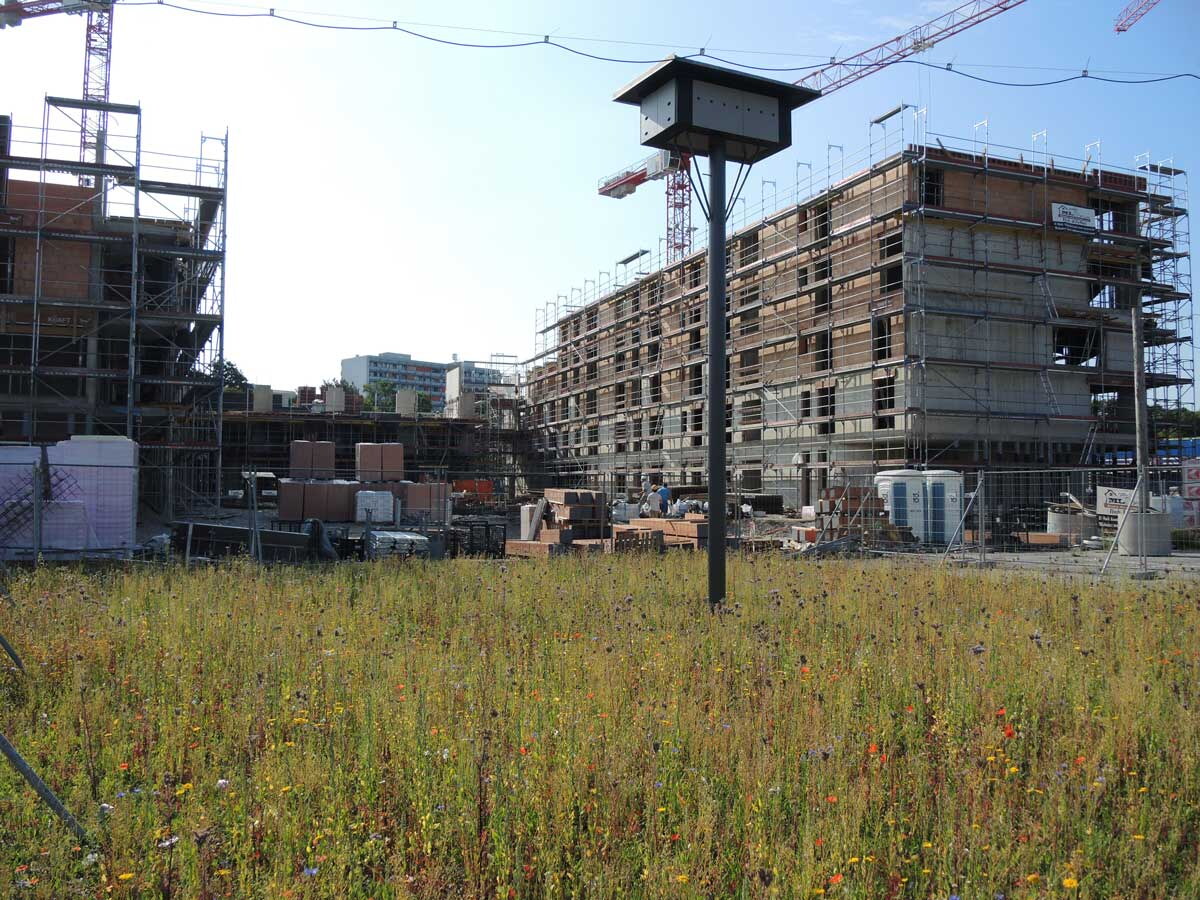 Spatzenturm | © Sylvia Weber