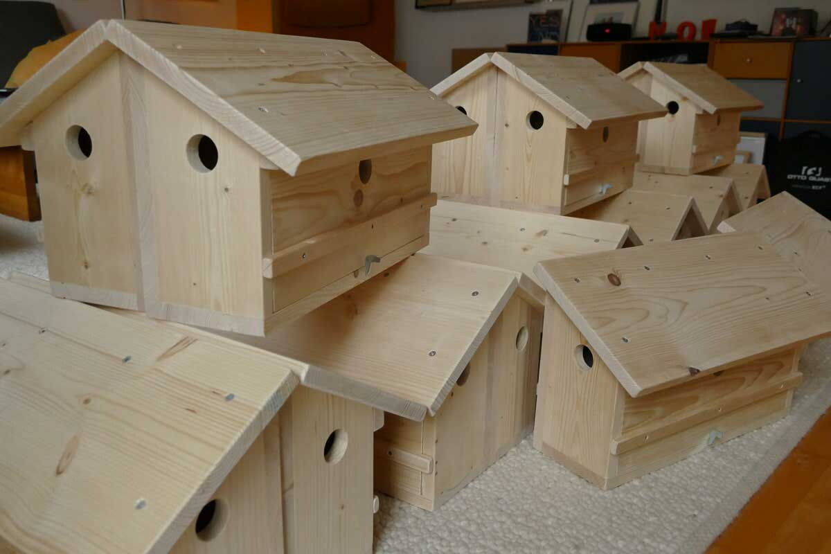 Spatzenreihenhäuser | © Dorothee Bornemann